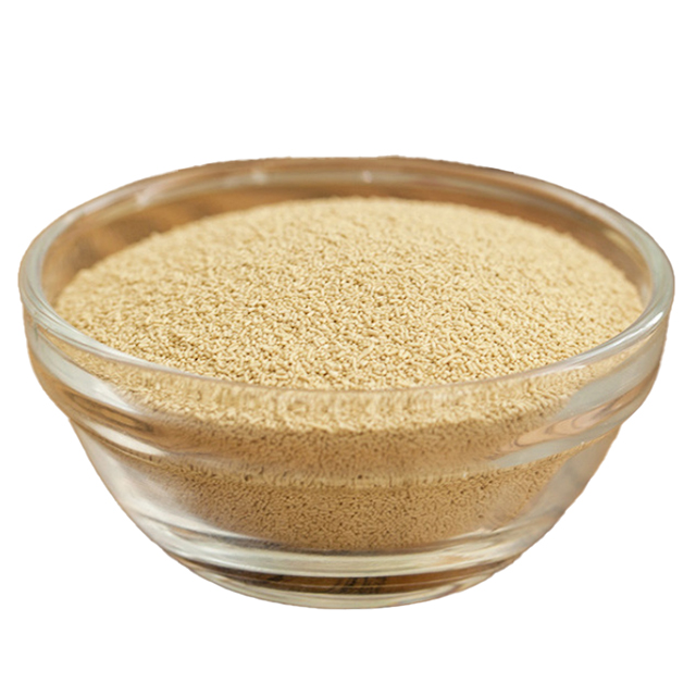 Instant Dry Yeast,it can be used in dough of bread,Arabian piza,piza,cake,biscuit,cookie etc.